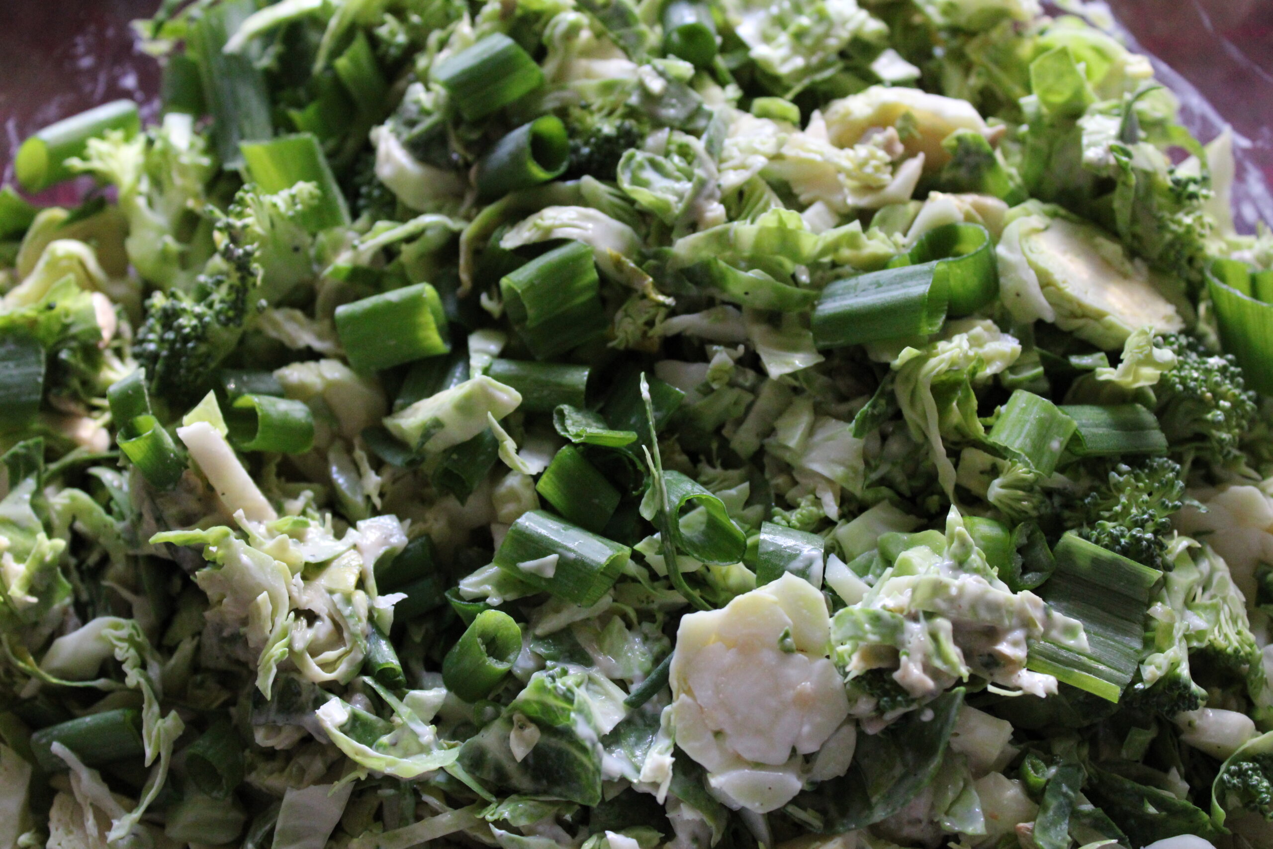 Shaved Brussels Sprouts Salad