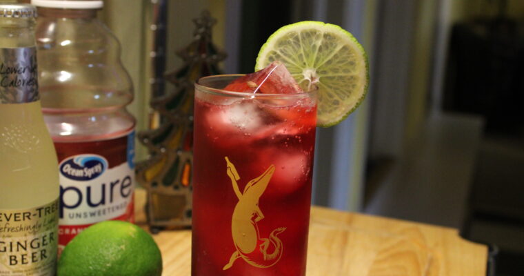 Cranberry Ginger Fizz Mocktail