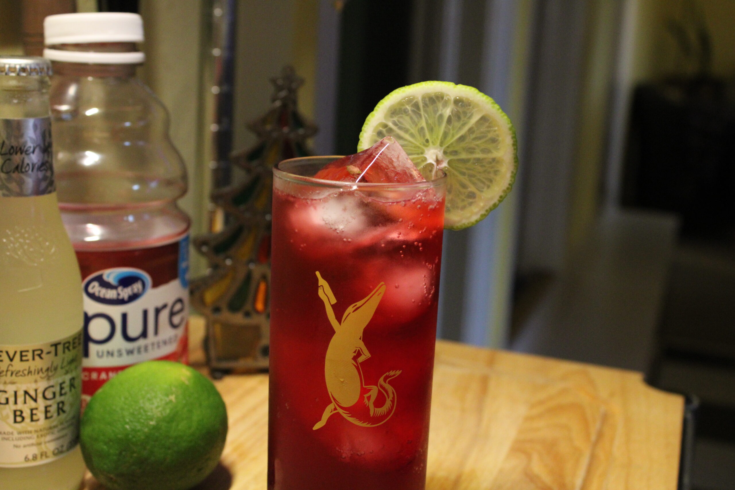 Cranberry Ginger Fizz Mocktail