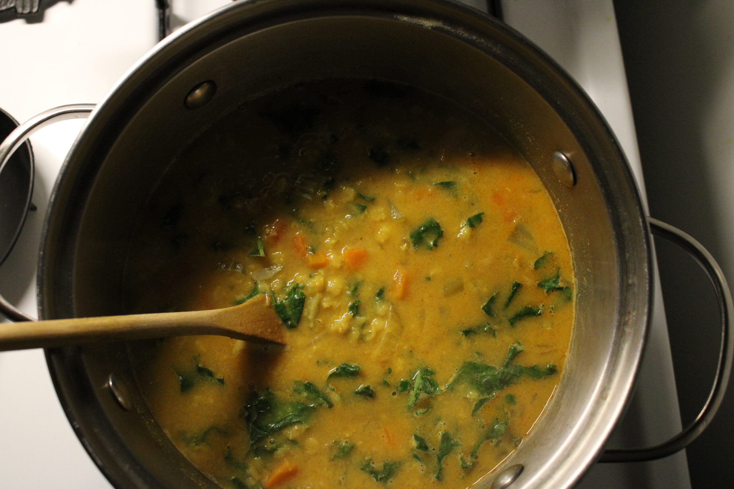 Kale & Lentil Coconut Soup