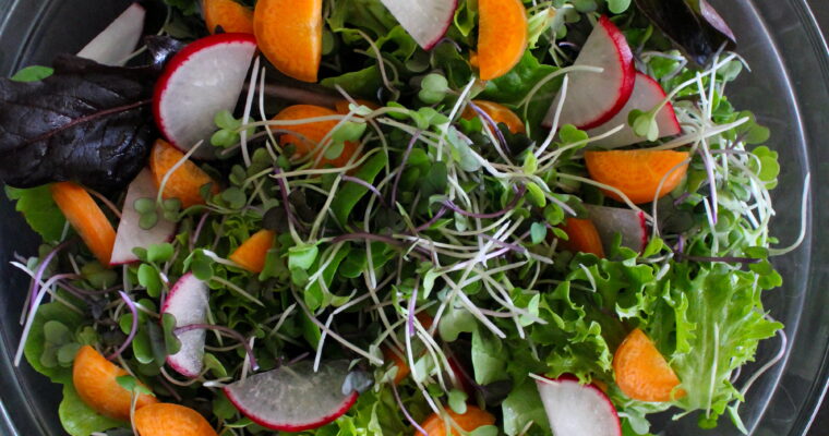 Microgreen Salad