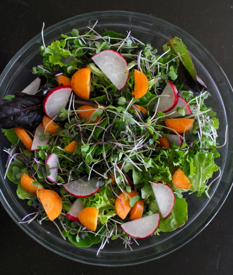 Healthy Recipes for 2026 - Hearty at Home