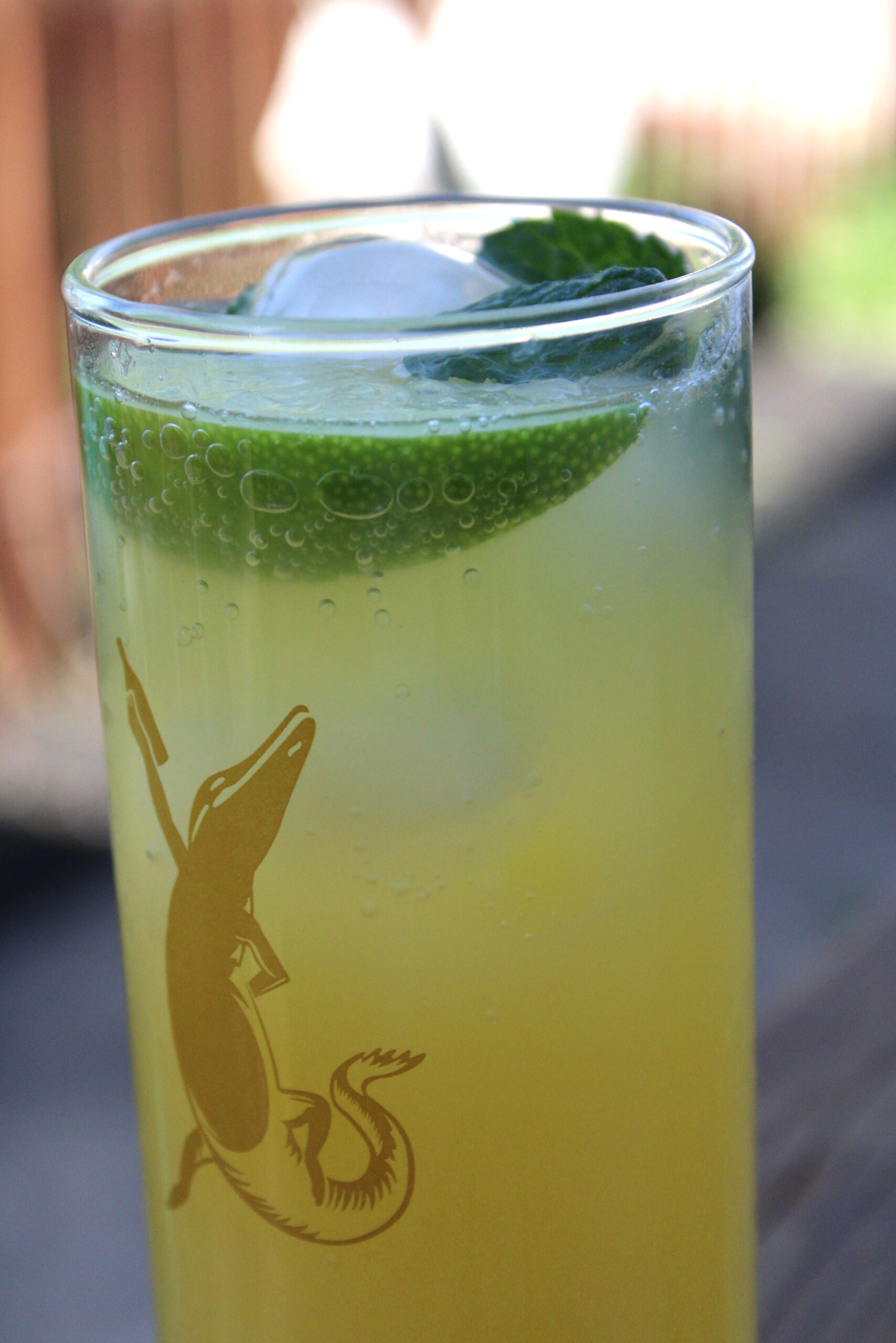 Citrus Mint Mocktail