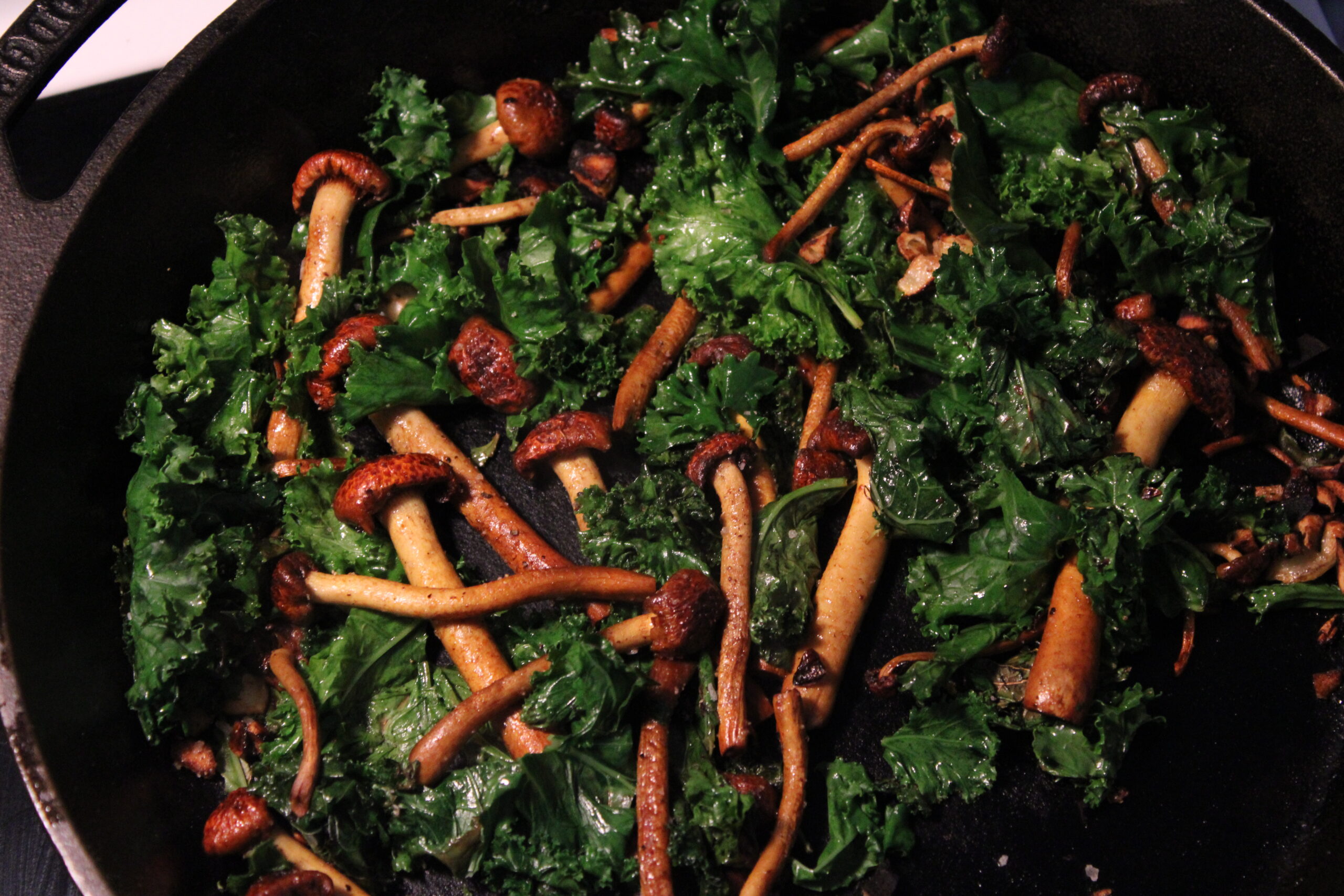 Pan-Roasted Mushrooms & Kale