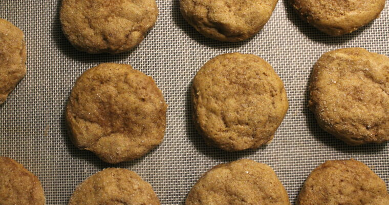 Vegan Pumpkin Cookies