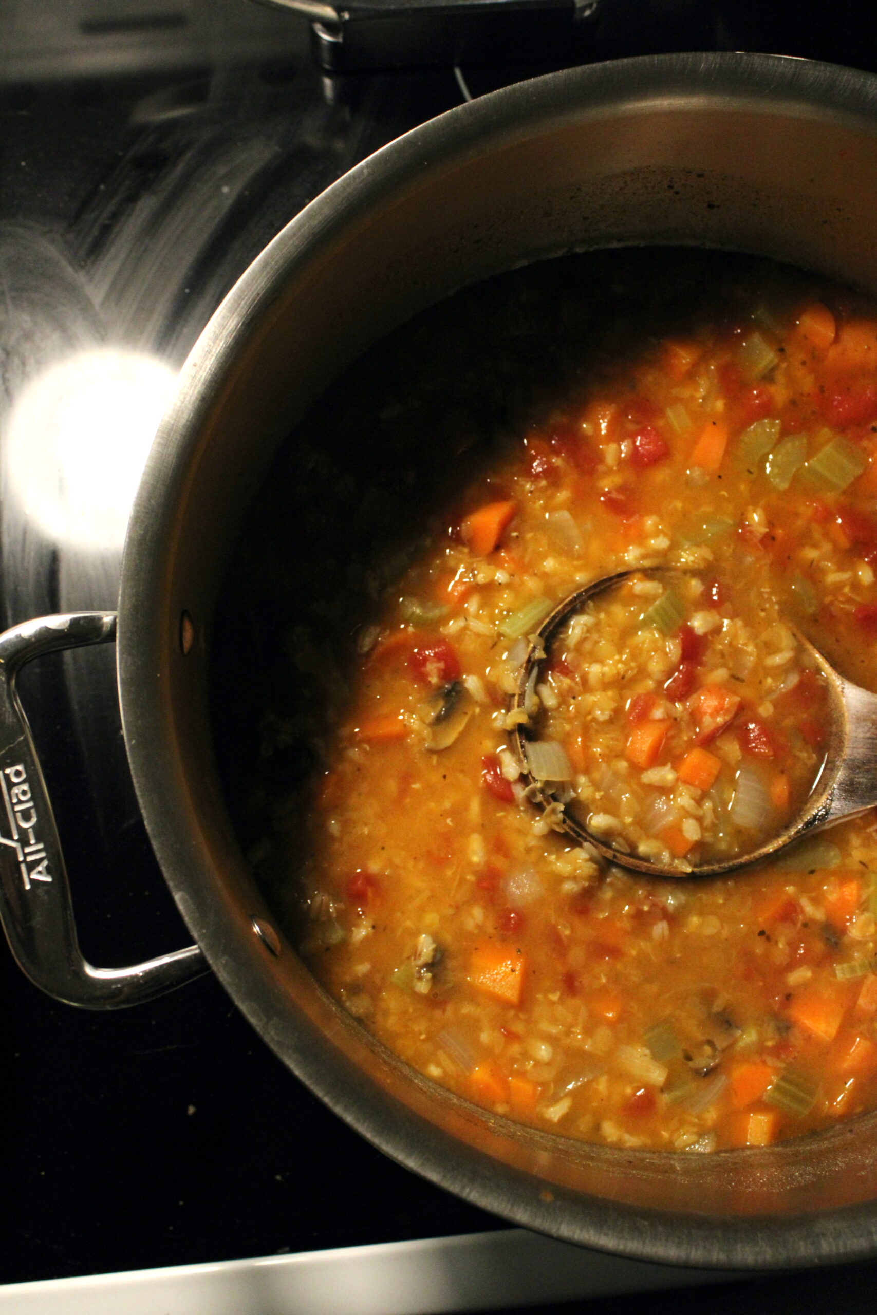 Lentil & Barley Soup