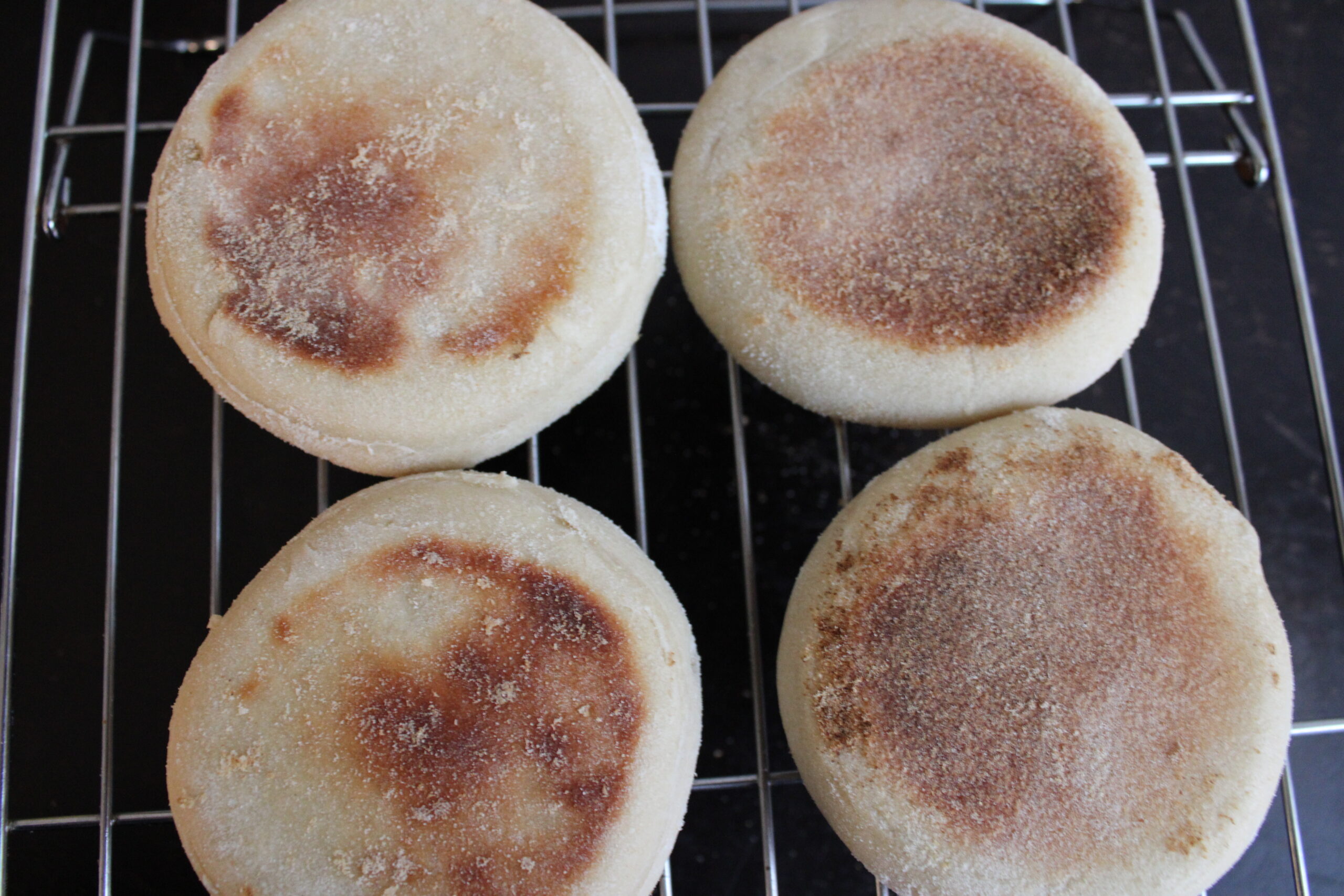 Sourdough English Muffins