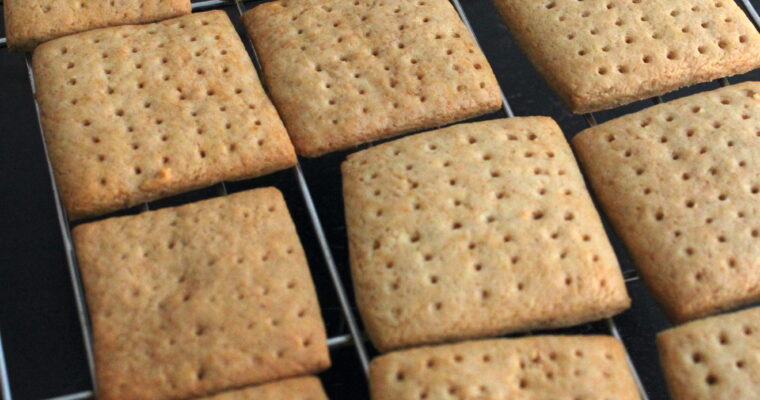 Sourdough Graham Crackers