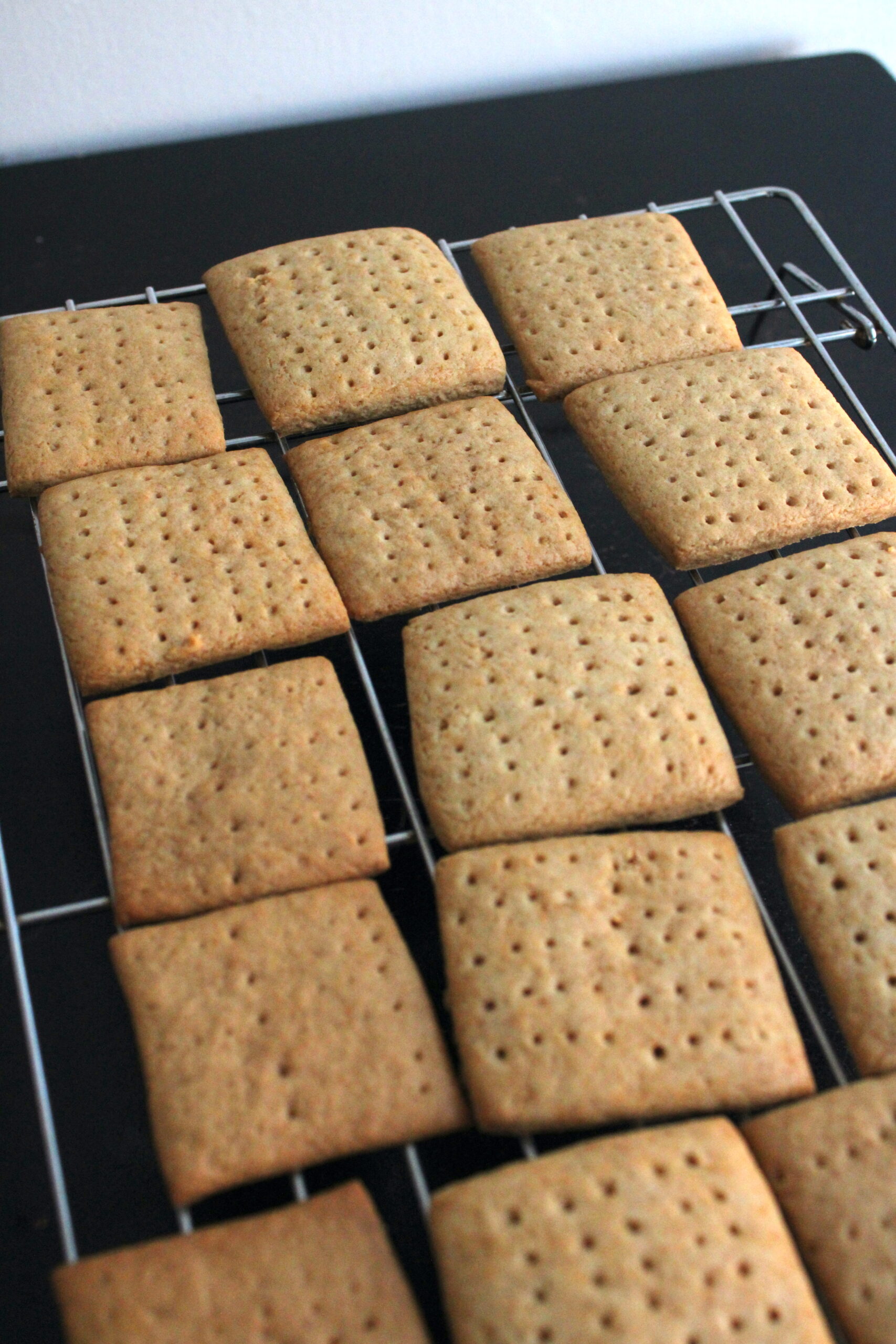 Sourdough Graham Crackers